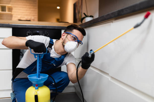 Trusted Westfield, IN Pest Control Experts