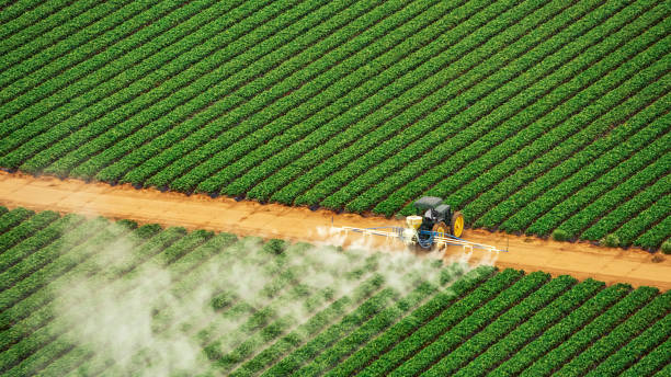 Pest Control Cost in Westfield, IN