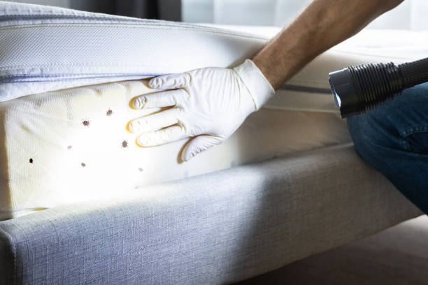 Best Best Pest Control Near Me  in Westfield, IN