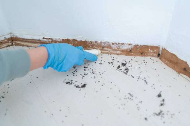 Wildlife Control Services in Westfield, IN