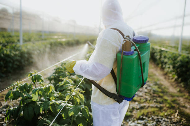 Best Pest Control Near Me  in Westfield, IN